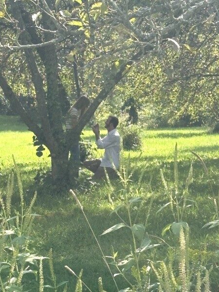 Samuel kneeling to propose beneath a tree