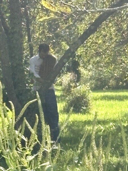 Morgan and Samuel hugging beneath the branches